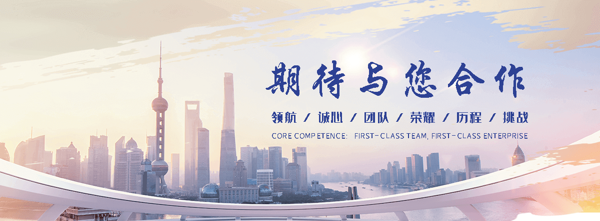 莱西优化公司哪家好